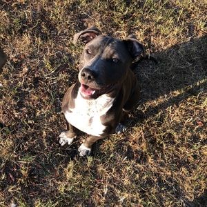 Meet your Posher, Marcus